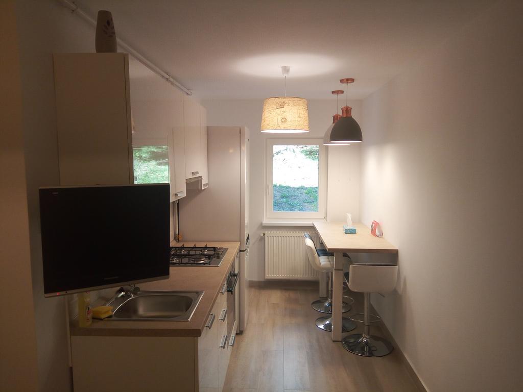 Lexy'S Apartment Брашов Экстерьер фото